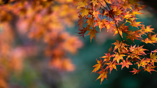 Seasonal Skin Care Transition